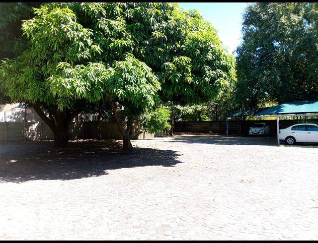 284M² BUSINESS FOR SALE IN BO-DORP